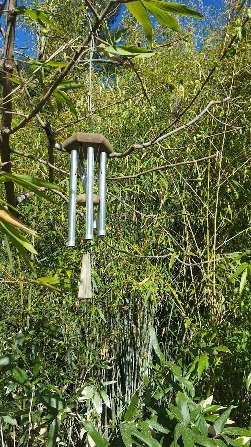 Expert lawn mowing service in Sebastopol, CA by Bamboo Sourcery Nursery & Gardens