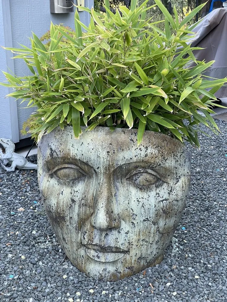 Professional lawn mowing service in Sebastopol, CA by Bamboo Sourcery Nursery & Gardens