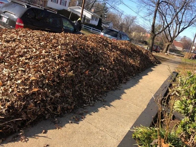 Top-rated garden landscaping for beautiful yards across Kensington, MD - BAM'S Landscaping