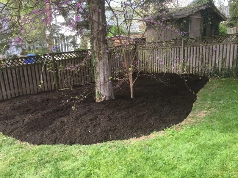 Affordable lawn mowing service for homes across Kensington, MD - BAM'S Landscaping