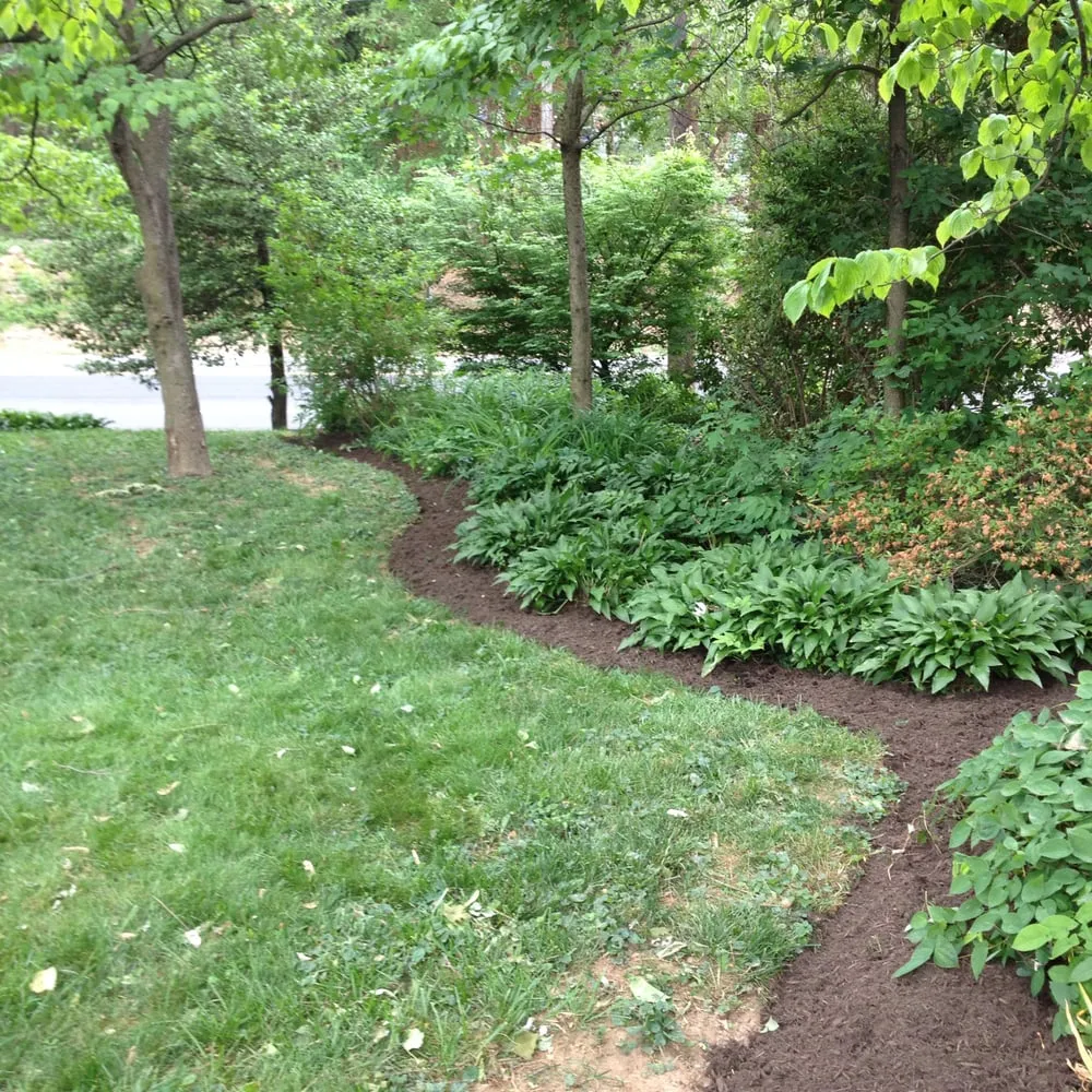 Expert garden landscaping in Kensington, MD - BAM'S Landscaping