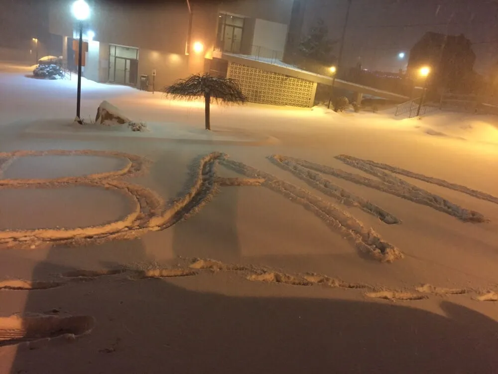 Local landscape design in Kensington, MD - BAM'S Landscaping