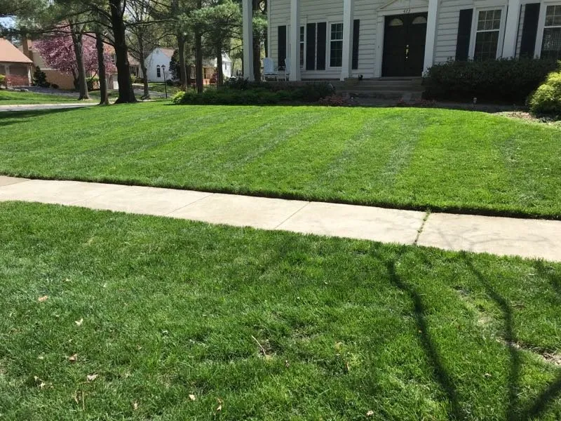 Trusted lawn mowing service in Kensington, MD - BAM'S Landscaping
