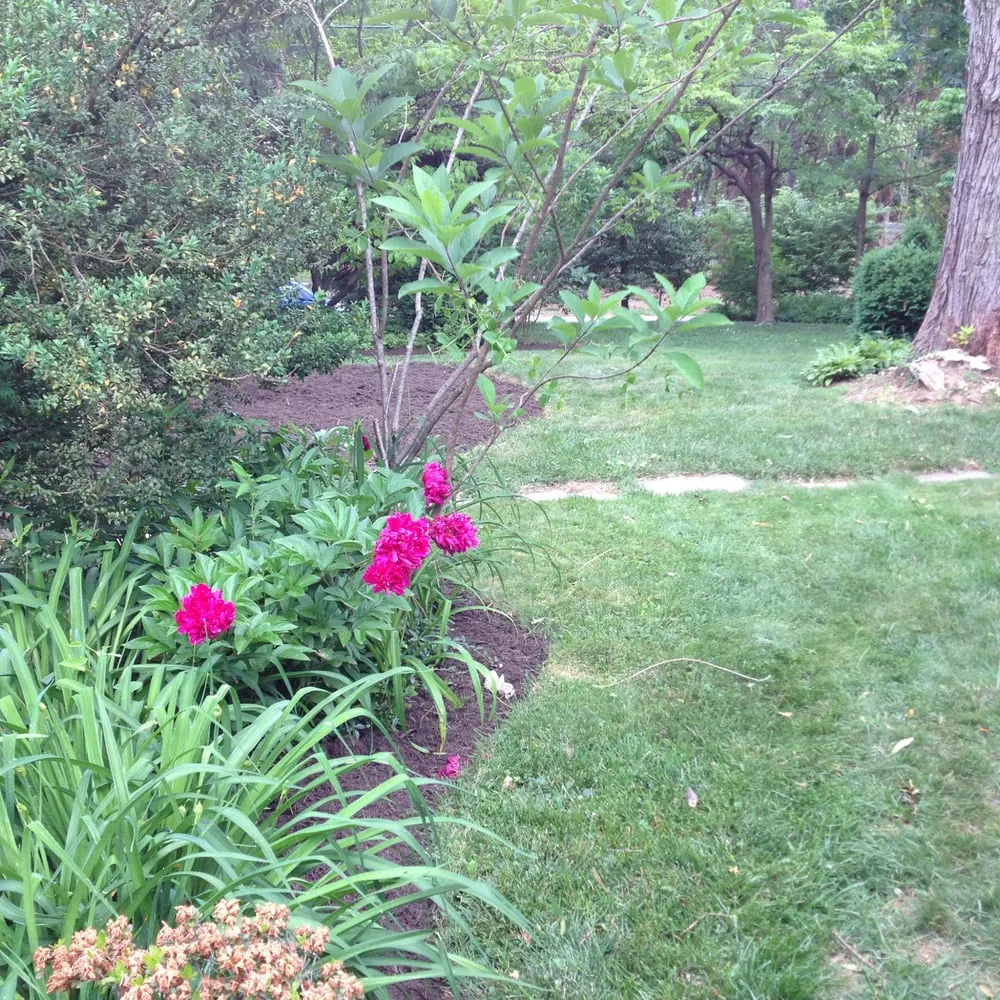 Local yard cleanup service in Kensington, MD - BAM'S Landscaping