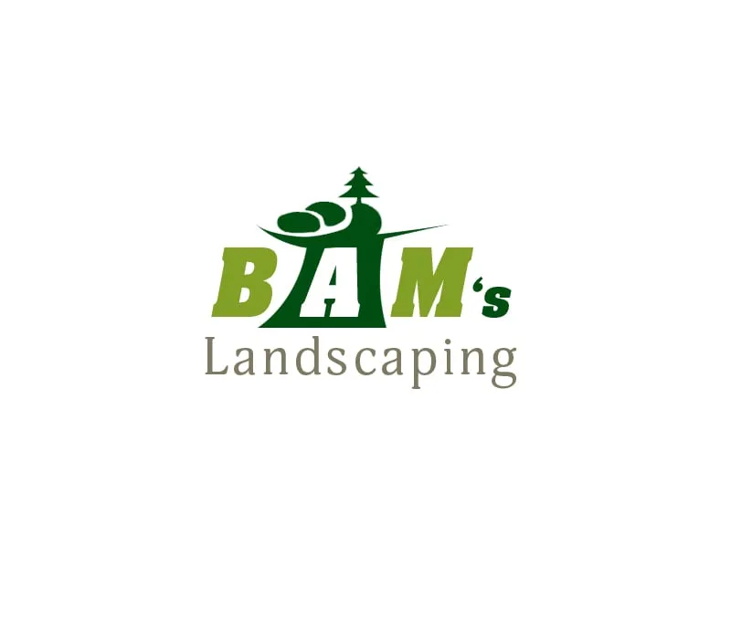 Reliable lawn mowing service in Kensington, MD by BAM'S Landscaping