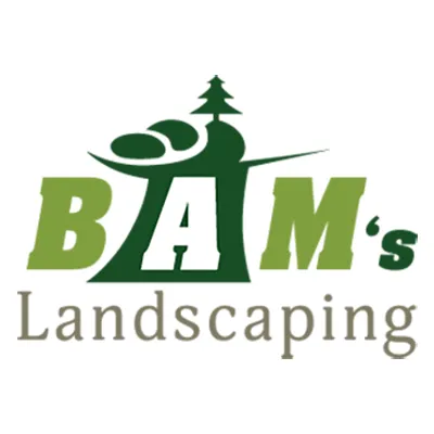 Local garden landscaping for year-round maintenance in Kensington, MD by BAM'S Landscaping