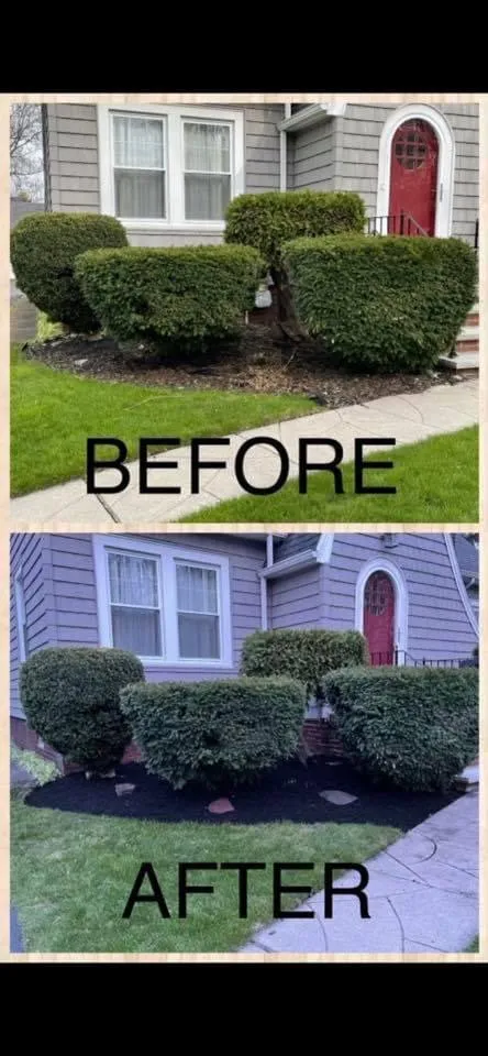 Trusted yard cleanup service in Niagara Falls, NY by BAM's Lawn Care and Maintenance