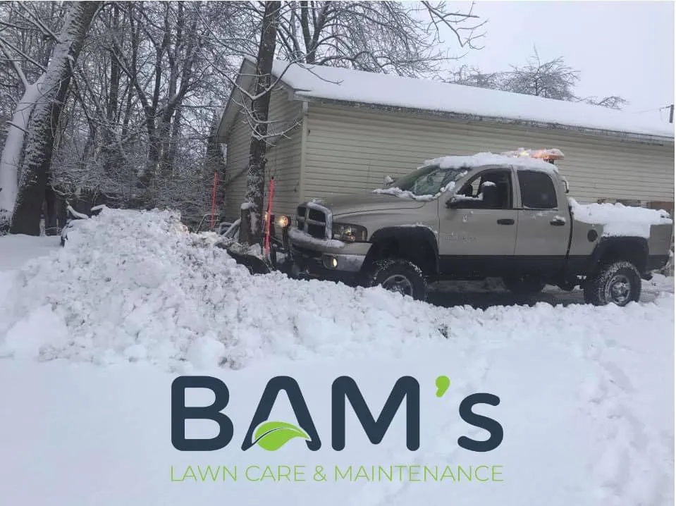 Trusted landscaping services for year-round maintenance in Niagara Falls, NY by BAM's Lawn Care and Maintenance