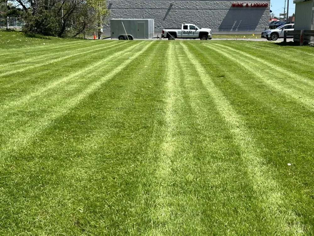 Affordable landscape design in Niagara Falls, NY by BAM's Lawn Care and Maintenance