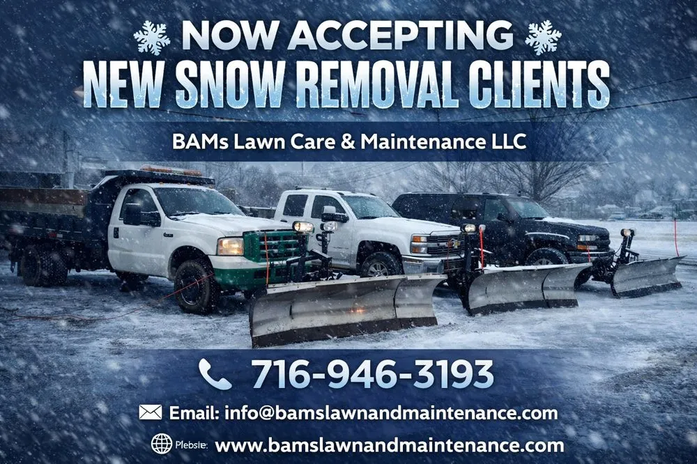 Expert landscape installation in Niagara Falls, NY by BAM's Lawn Care and Maintenance