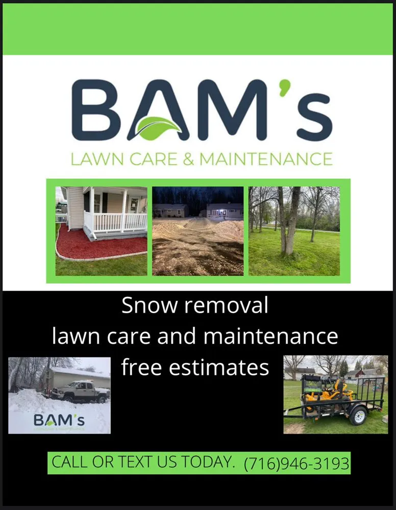 Top-rated landscape design in Niagara Falls, NY by BAM's Lawn Care and Maintenance
