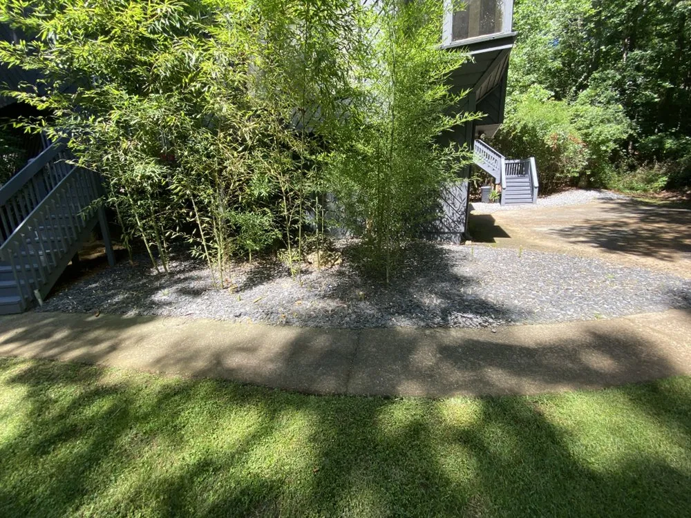 Affordable yard cleanup service experts serving Jonesboro, GA - Bams Professionals