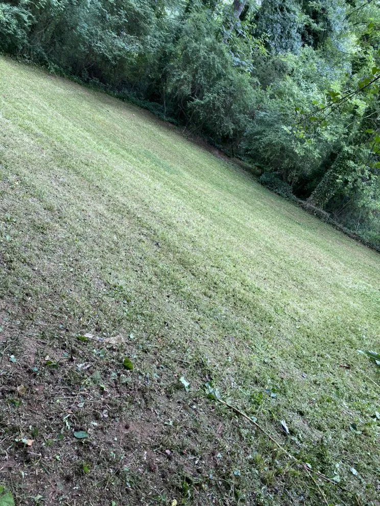 Affordable garden landscaping in Jonesboro, GA - Bams Professionals