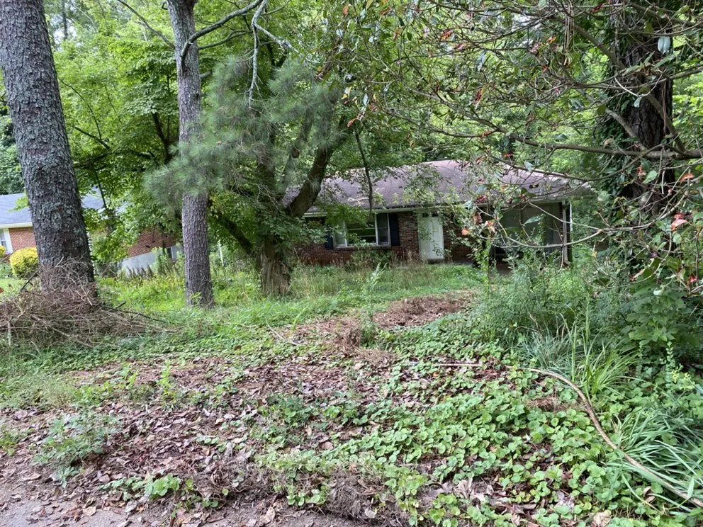 Professional landscaping services experts serving Jonesboro, GA - Bams Professionals