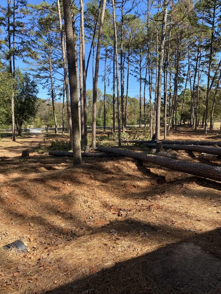 Professional garden landscaping experts serving Jefferson, GA - Bam’s Tree Service