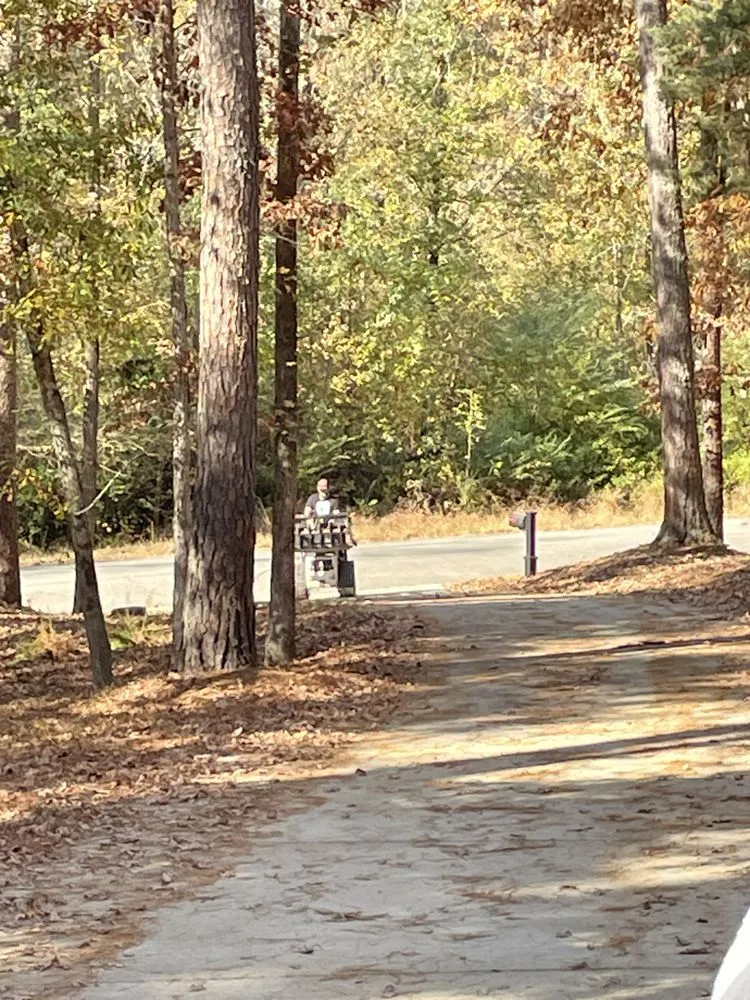 Top-rated landscape installation in Jefferson, GA - Bam’s Tree Service