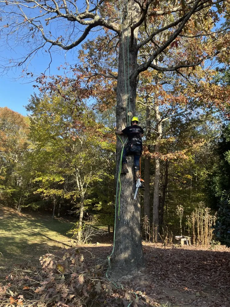 Reliable landscape installation for residential properties in Jefferson, GA by Bam’s Tree Service