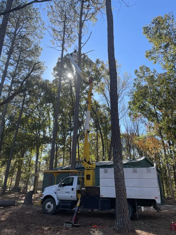 Expert yard maintenance for year-round maintenance across Jefferson, GA - Bam’s Tree Service