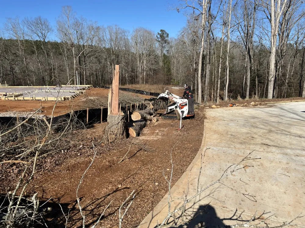 Top-rated lawn care service experts serving Jefferson, GA - Bam’s Tree Service