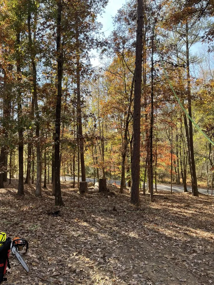 Custom lawn mowing service in Jefferson, GA by Bam’s Tree Service