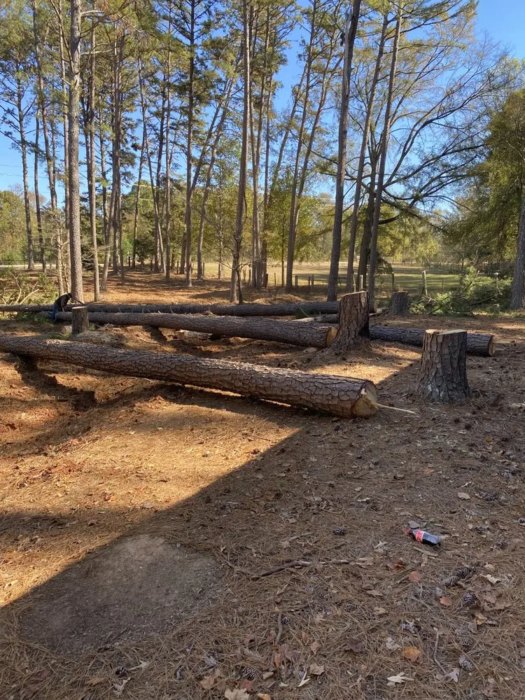 Top-rated landscaping services experts serving Jefferson, GA - Bam’s Tree Service