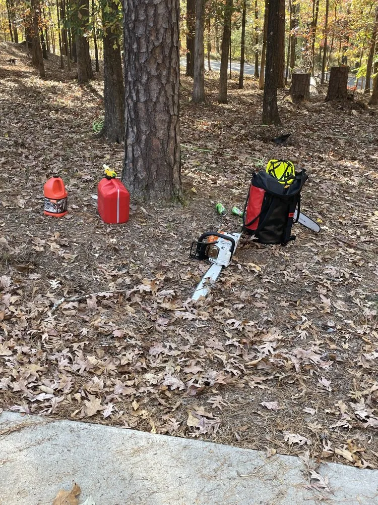 Professional residential landscaping for homes in Jefferson, GA by Bam’s Tree Service