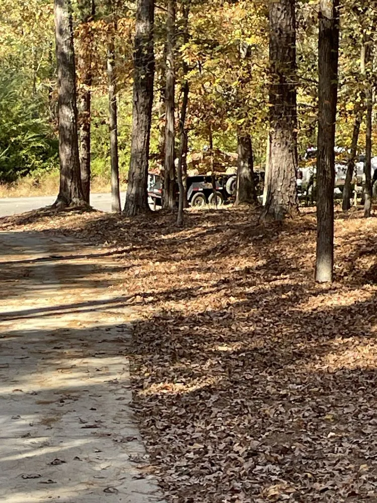 Affordable landscape installation near you across Jefferson, GA - Bam’s Tree Service