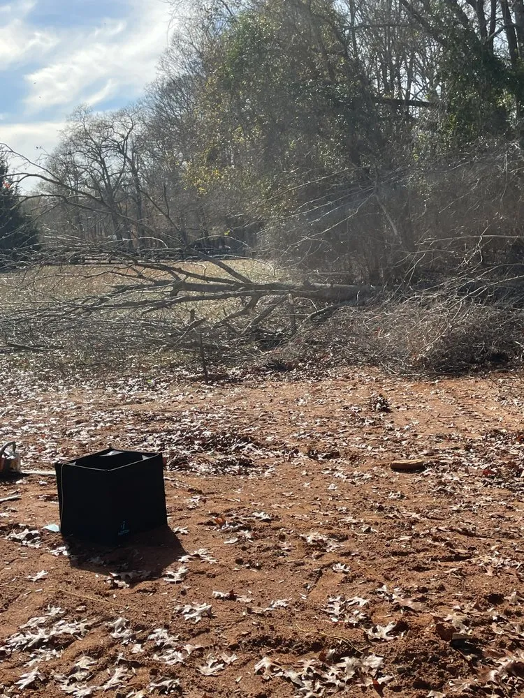 Top-rated lawn care service in Jefferson, GA by Bam’s Tree Service