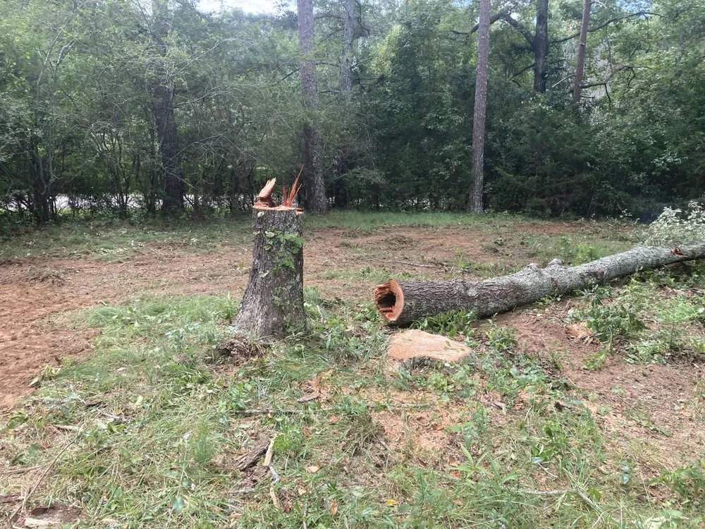 Reliable lawn mowing service for year-round maintenance in Jefferson, GA by Bam’s Tree Service