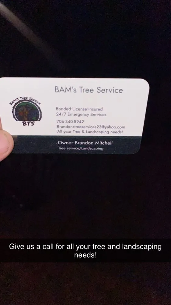 Expert residential landscaping near you across Jefferson, GA - Bam’s Tree Service