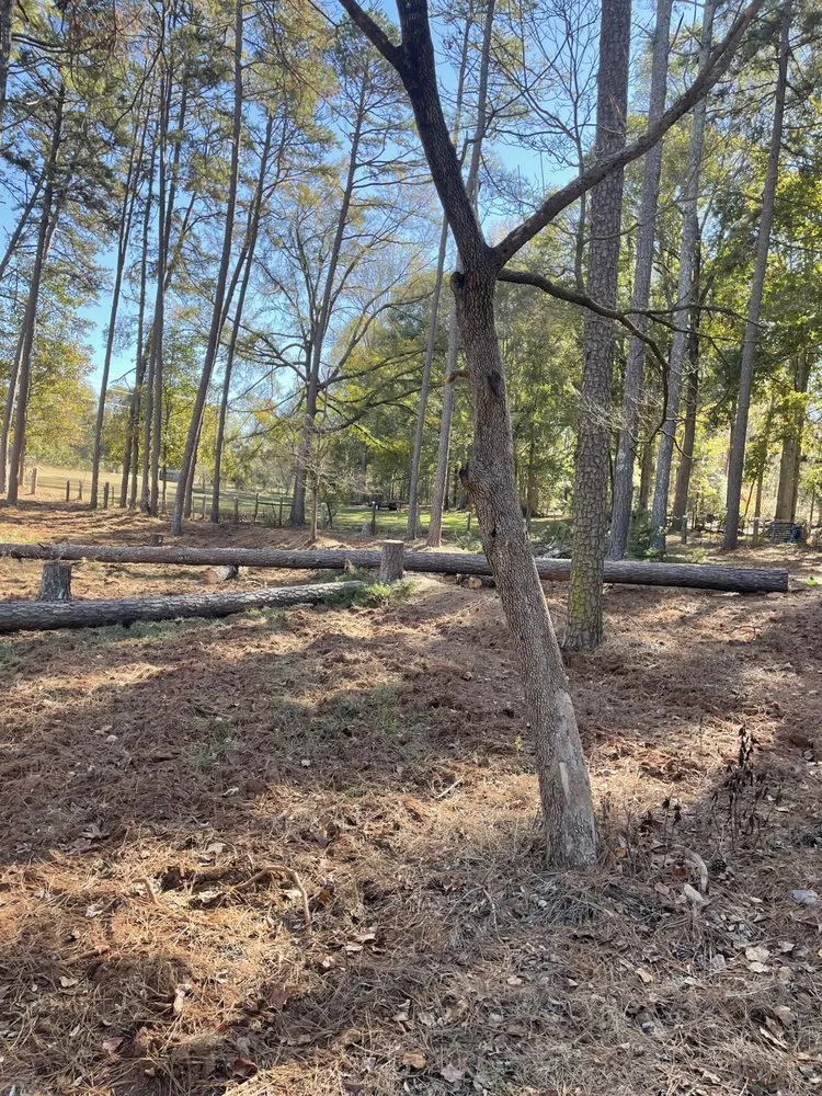 Trusted landscaping services in Jefferson, GA by Bam’s Tree Service