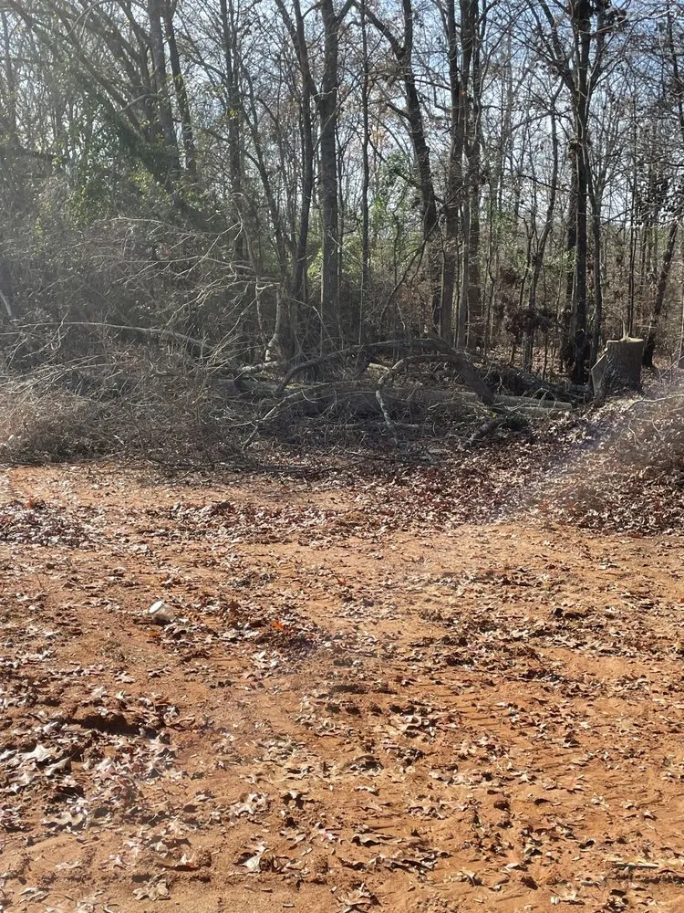 Top-rated outdoor landscaping in Jefferson, GA - Bam’s Tree Service