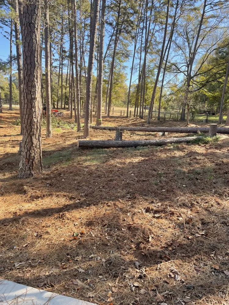 Custom landscaping services for outdoor upgrades across Jefferson, GA - Bam’s Tree Service