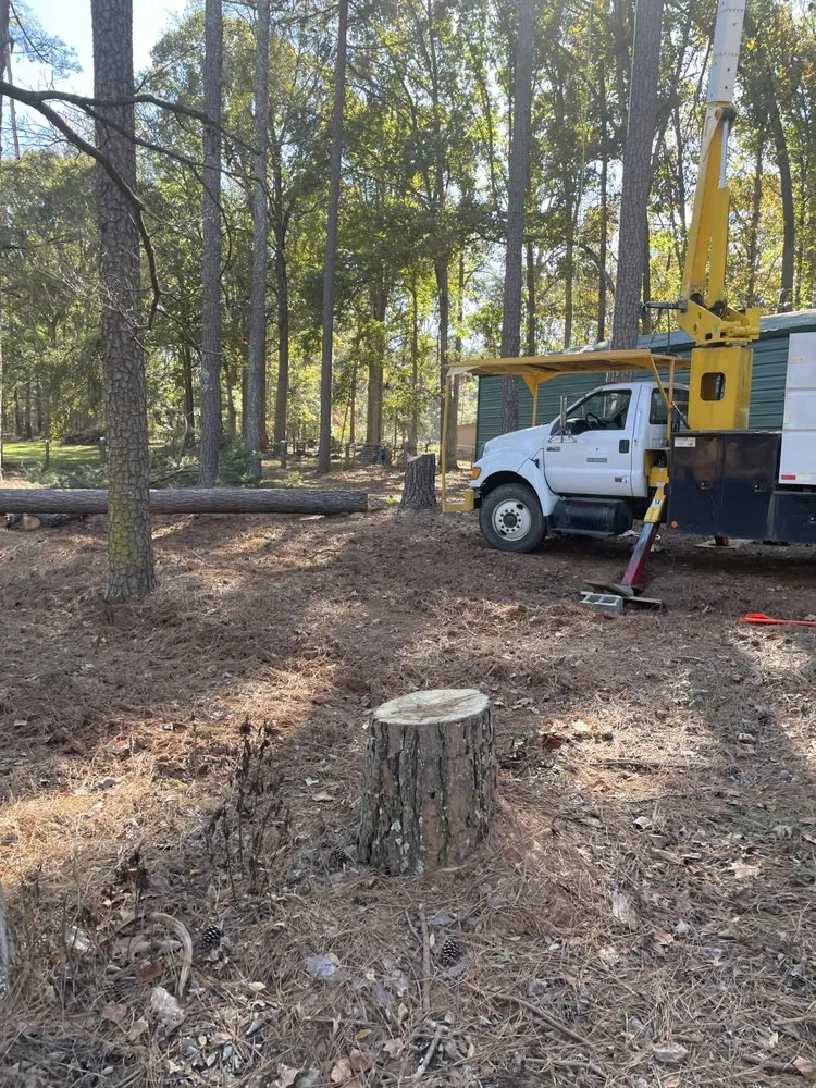 Custom garden landscaping in Jefferson, GA - Bam’s Tree Service