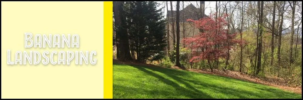 Expert yard maintenance in Cumming, GA by Banana Landscaping