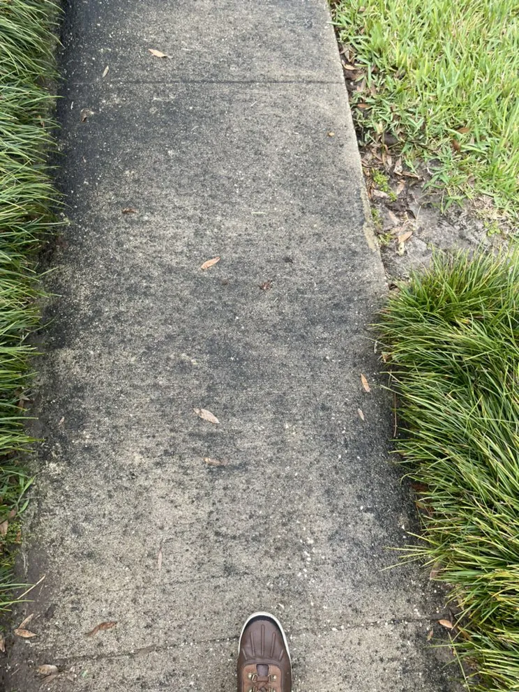 Custom yard maintenance in Orlando, FL - Band Of Brothers Services