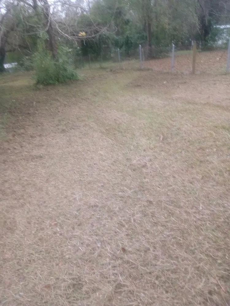 Trusted lawn mowing service experts serving Brundidge, AL - Bandanner Lawn Service