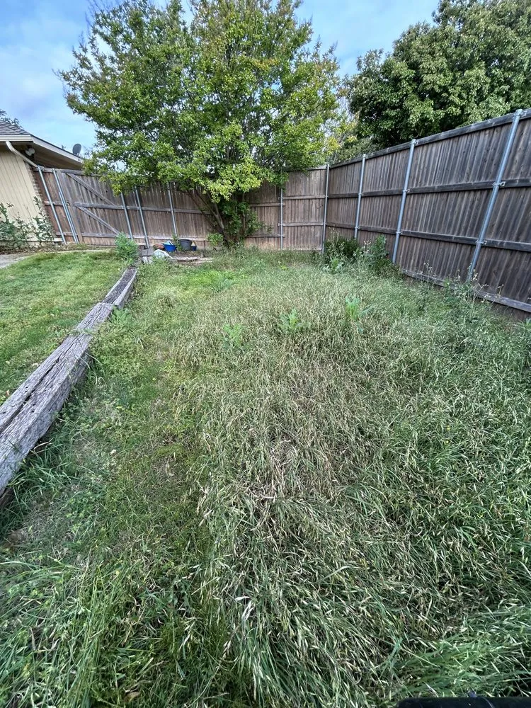 Reliable landscape design near you across Murphy, TX - Banda’s Lawn Care