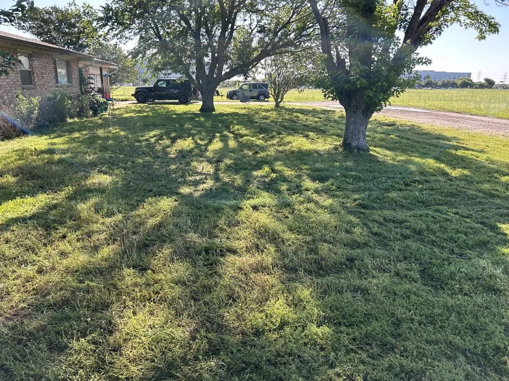 Expert yard maintenance for year-round maintenance in Murphy, TX by Banda’s Lawn Care