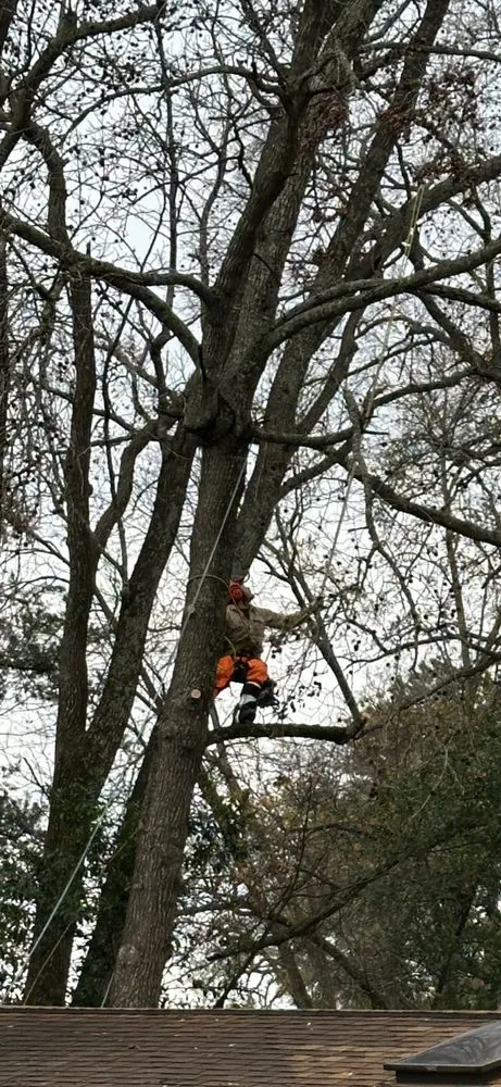 Expert outdoor landscaping in Tyler, TX - Banda's Tree Service And Lawn Care