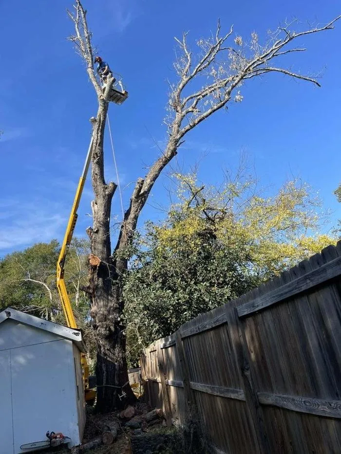 Reliable landscape installation in Tyler, TX - Banda's Tree Service And Lawn Care