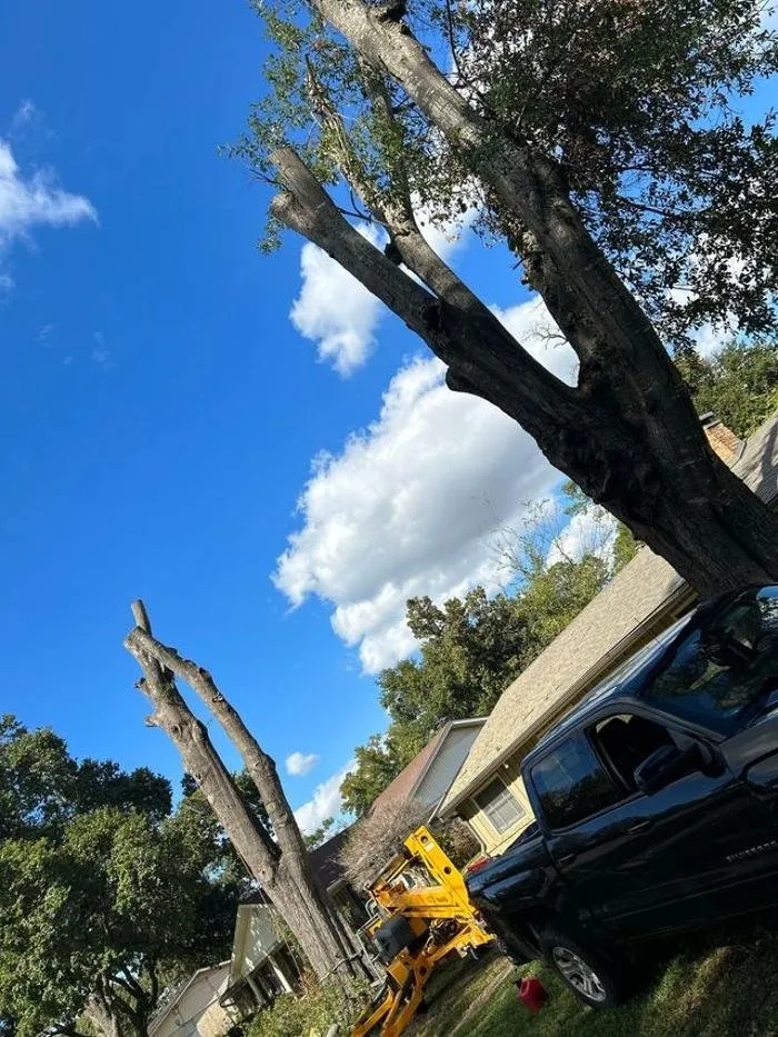 Trusted landscaping services near you in Tyler, TX by Banda's Tree Service And Lawn Care