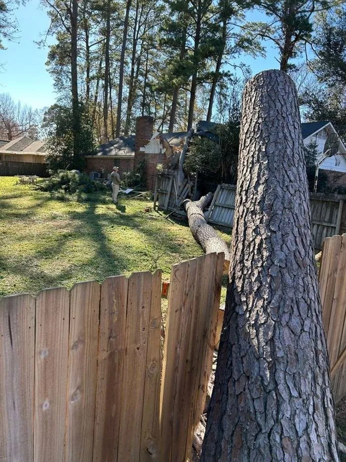 Reliable lawn mowing service with custom design across Tyler, TX - Banda's Tree Service And Lawn Care