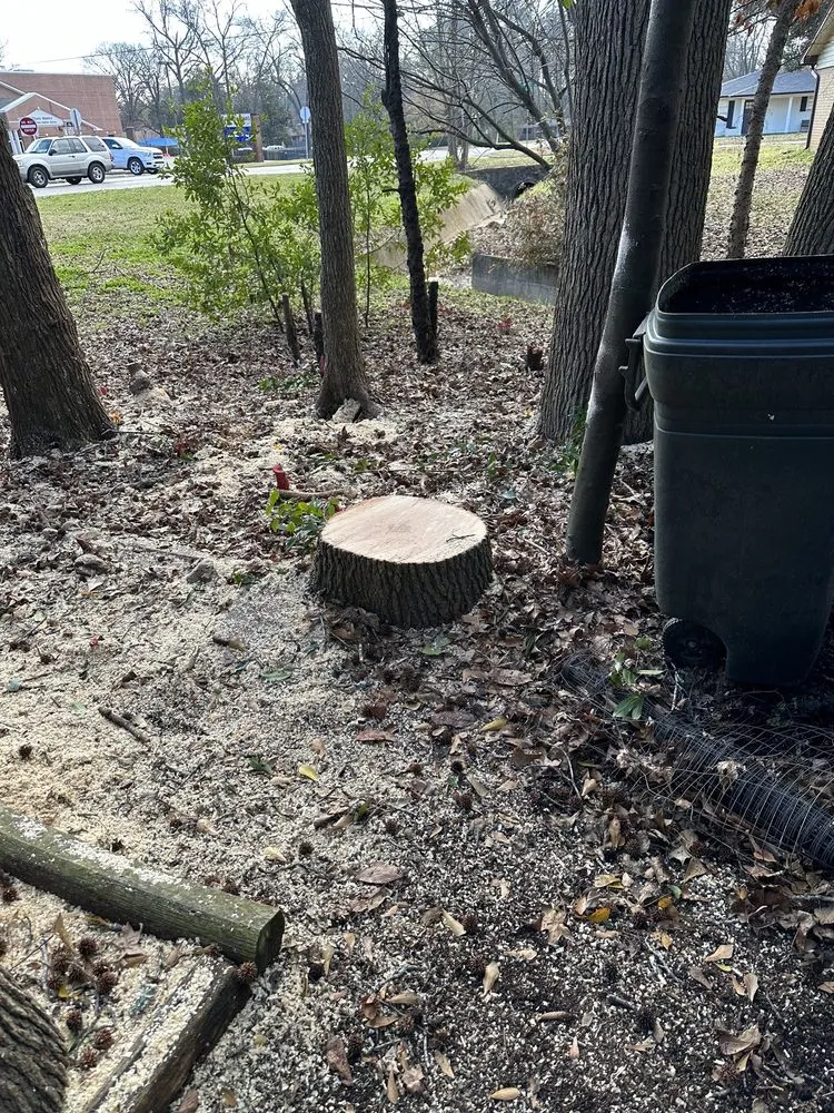 Top-rated lawn mowing service in Tyler, TX - Banda's Tree Service And Lawn Care