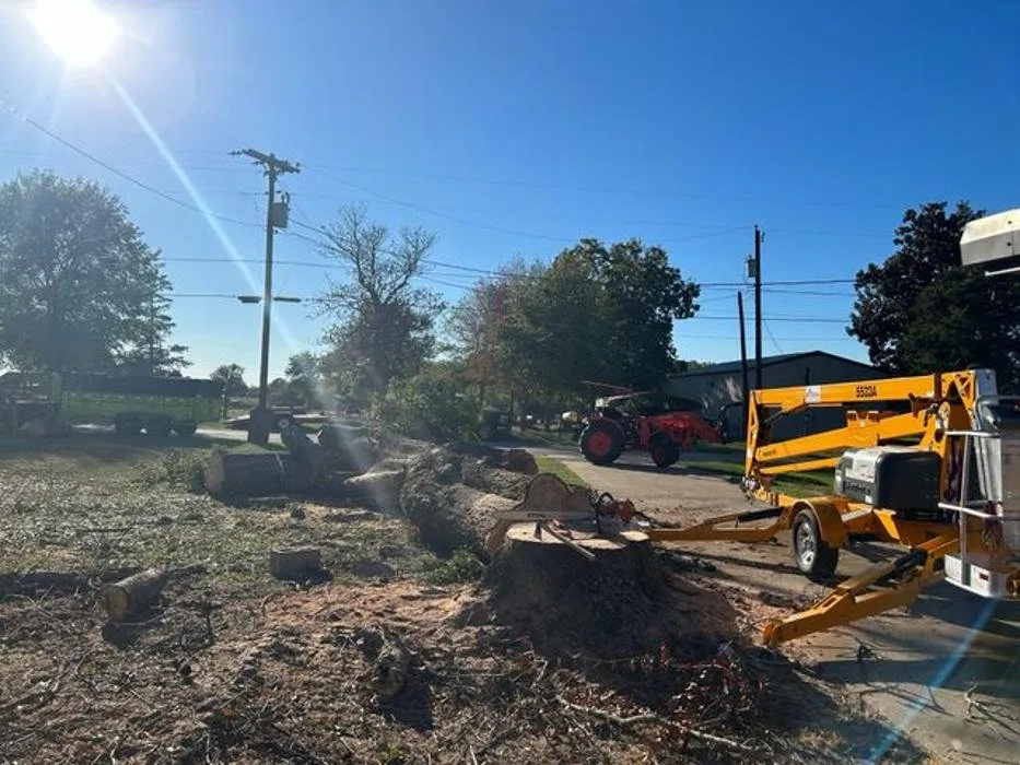 Custom outdoor landscaping in Tyler, TX - Banda's Tree Service And Lawn Care