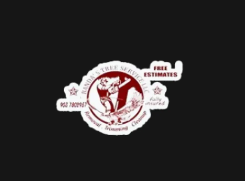 Expert yard cleanup service for beautiful yards in Tyler, TX by Banda's Tree Service And Lawn Care