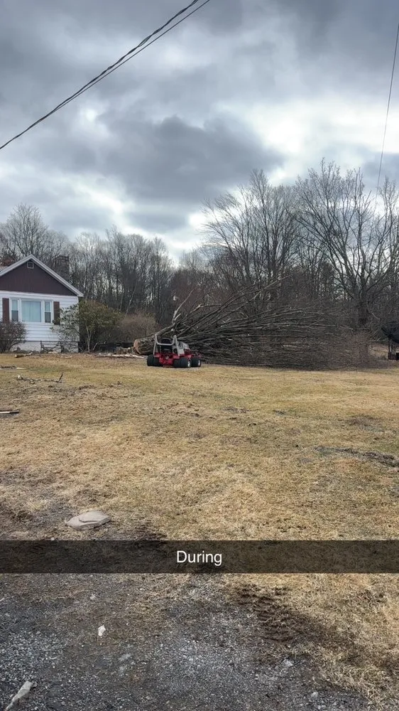 Custom garden landscaping experts serving Ferndale, NY - Banded Landscaping