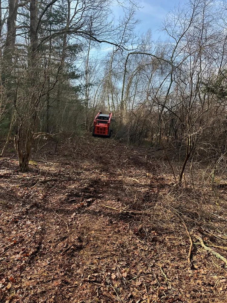 Custom lawn care service in Ferndale, NY by Banded Landscaping