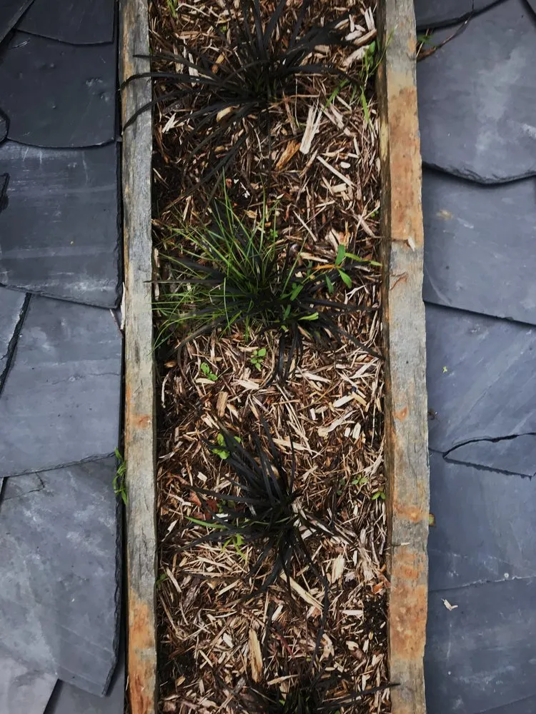 Local landscape design in Seattle, WA by Bandekar Landscapes