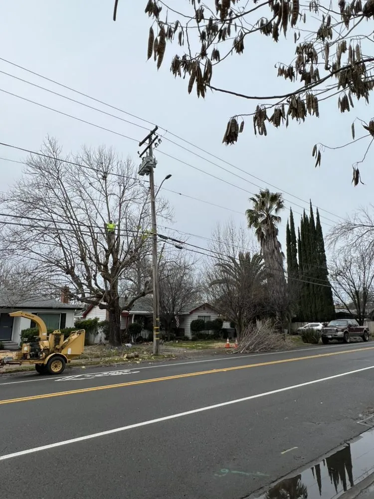 Custom garden landscaping for residential properties in Redding, CA by Banderas Lawn Maintenance